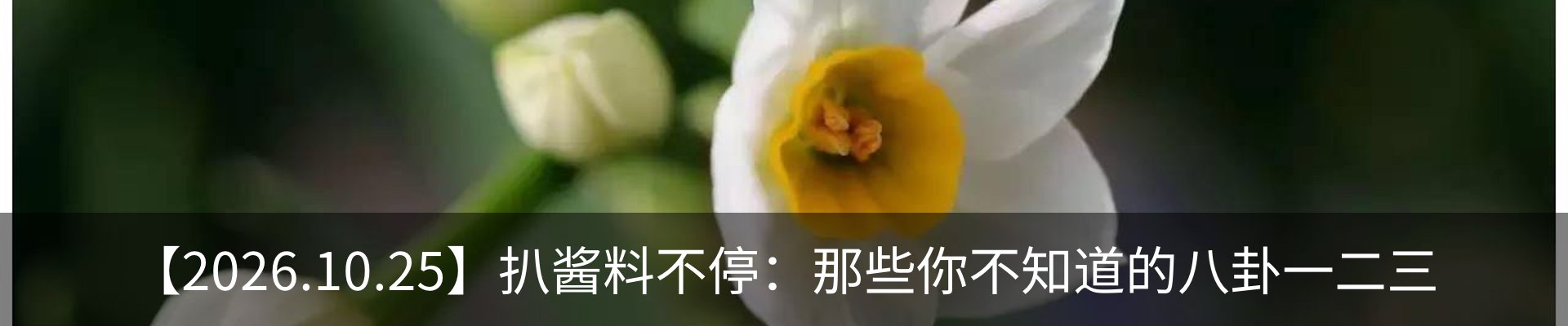 新闻中心