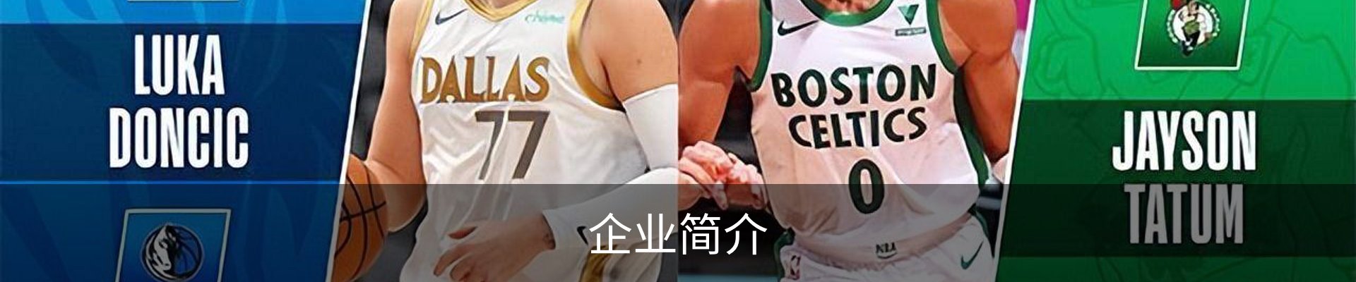 企业简介